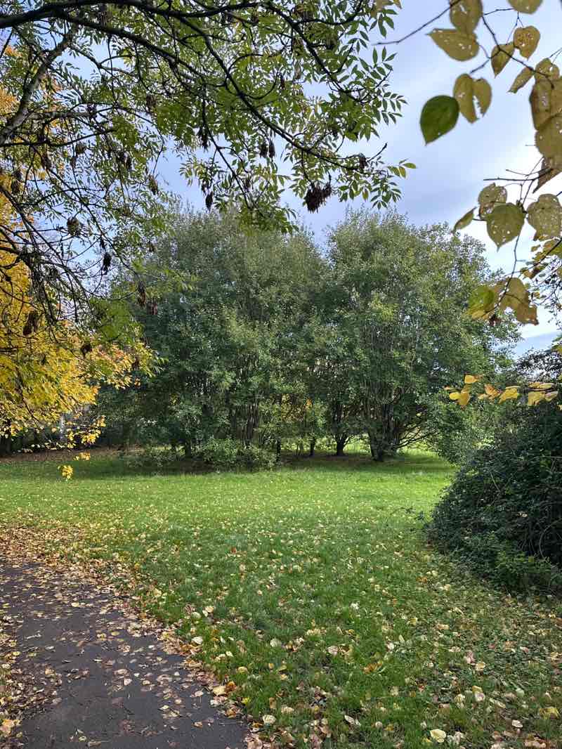 walking near me in Hill Snook Park in autumn