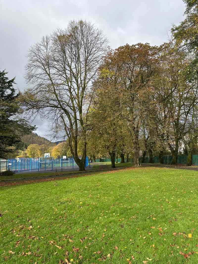 walking near me in Treherbert Park in autumn