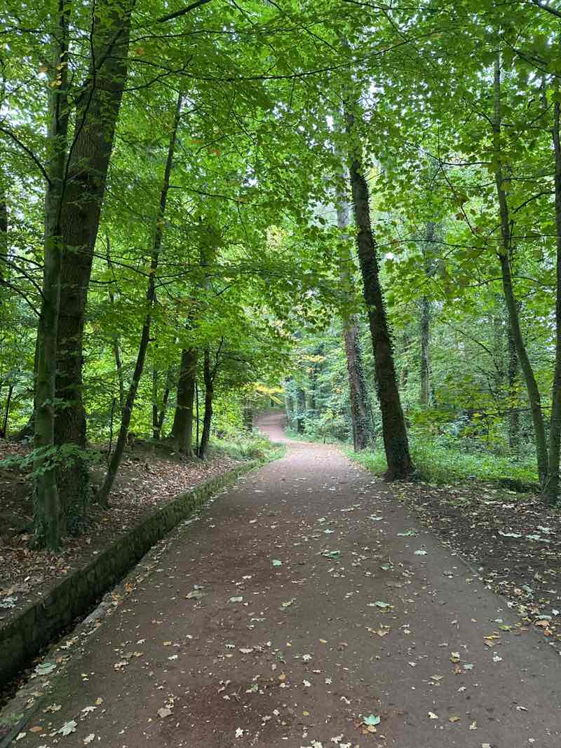 walking near me in Cyfarthfa Park in autumn