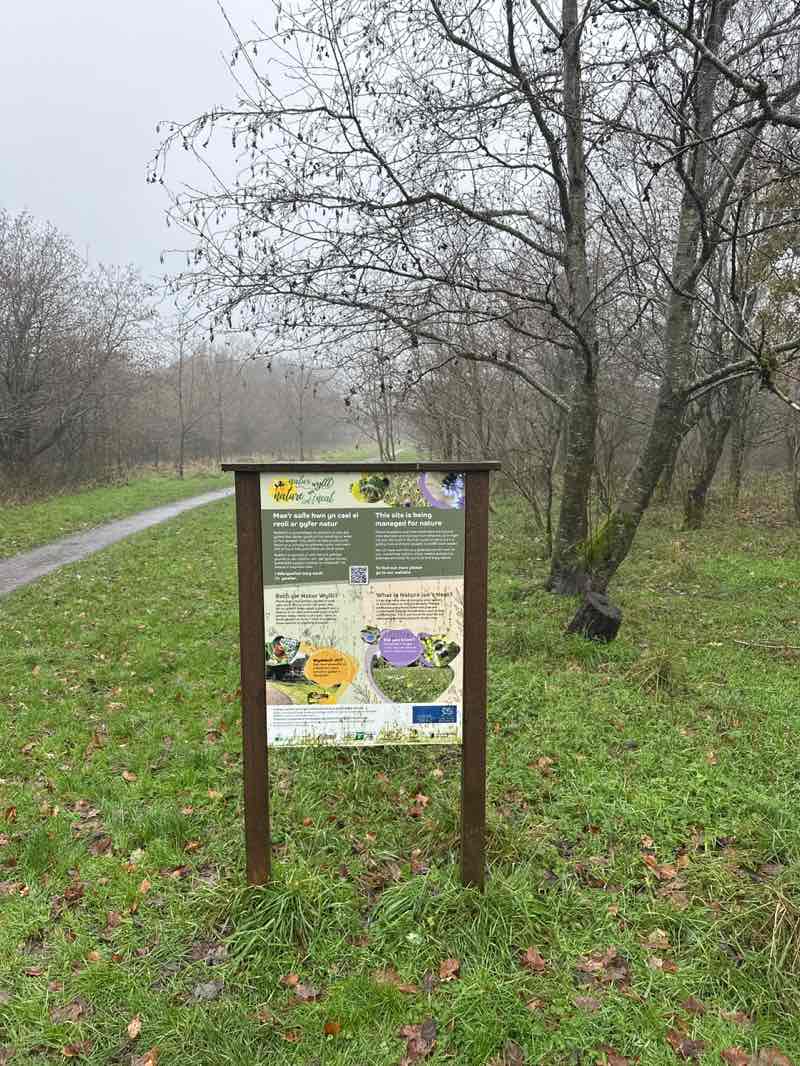 walking near me in Beaufort Hill Ponds & Woodlands in autumn