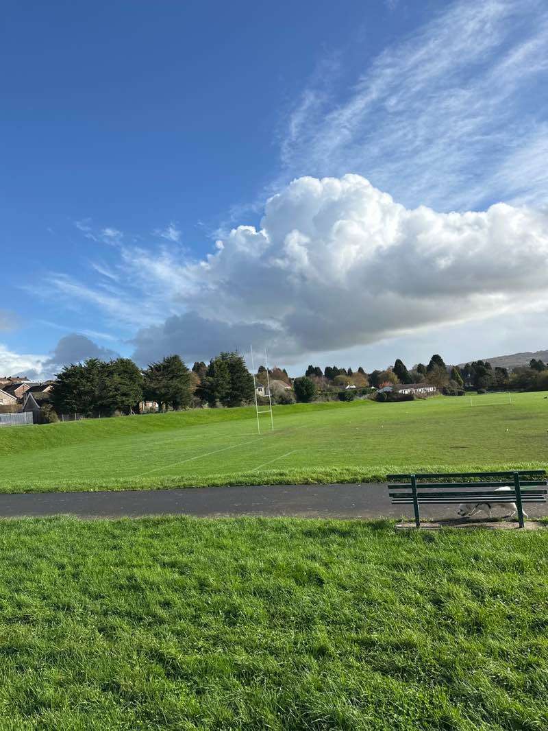 walking near me in Aneurin Park in autumn