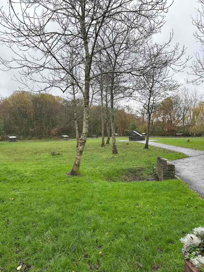 walking near me in Diamond Park in autumn