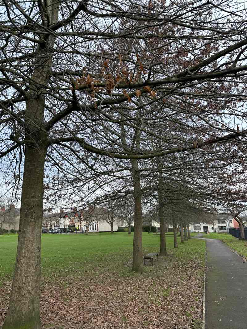 walking near me in Maitland Park in winter