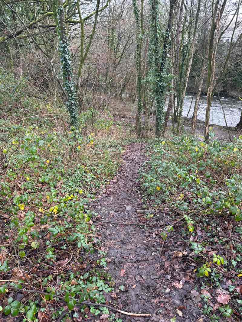 walking near me in Bargoed Woodland Park in winter