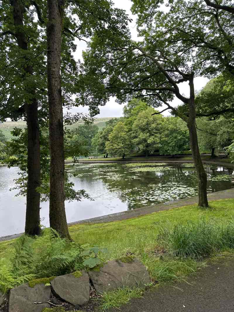 walking near me in Darren Park in summer
