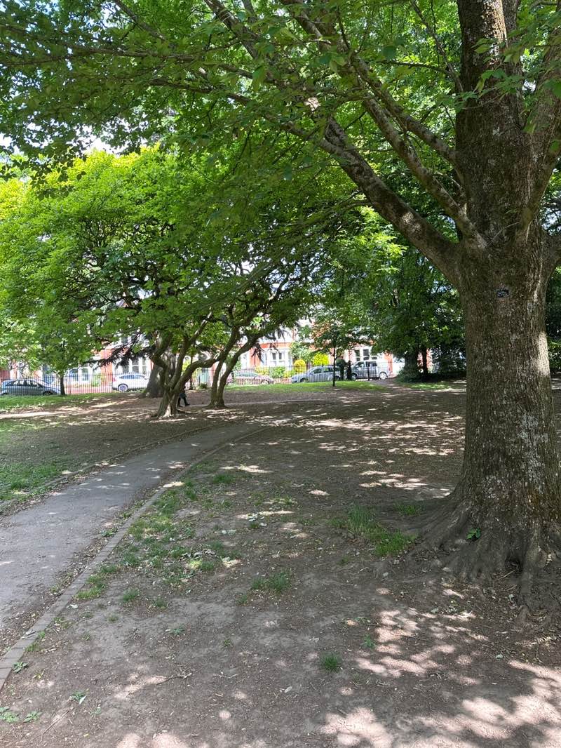 walking near me in Roath Mill Gardens in summer
