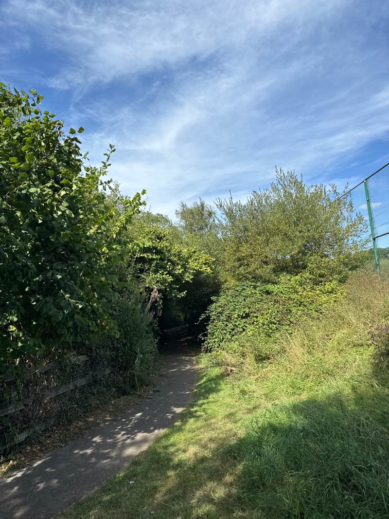 walking near me in Nelson Wern Park in autumn