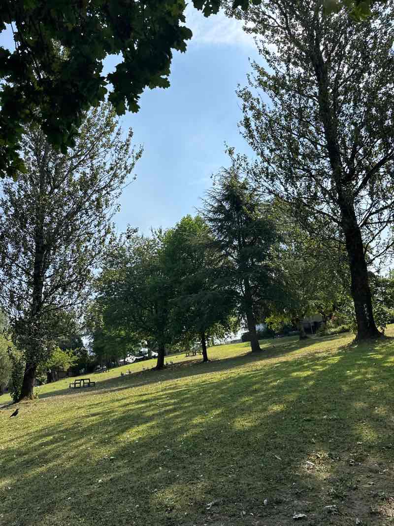 walking near me in Dafydd Williams Park in autumn
