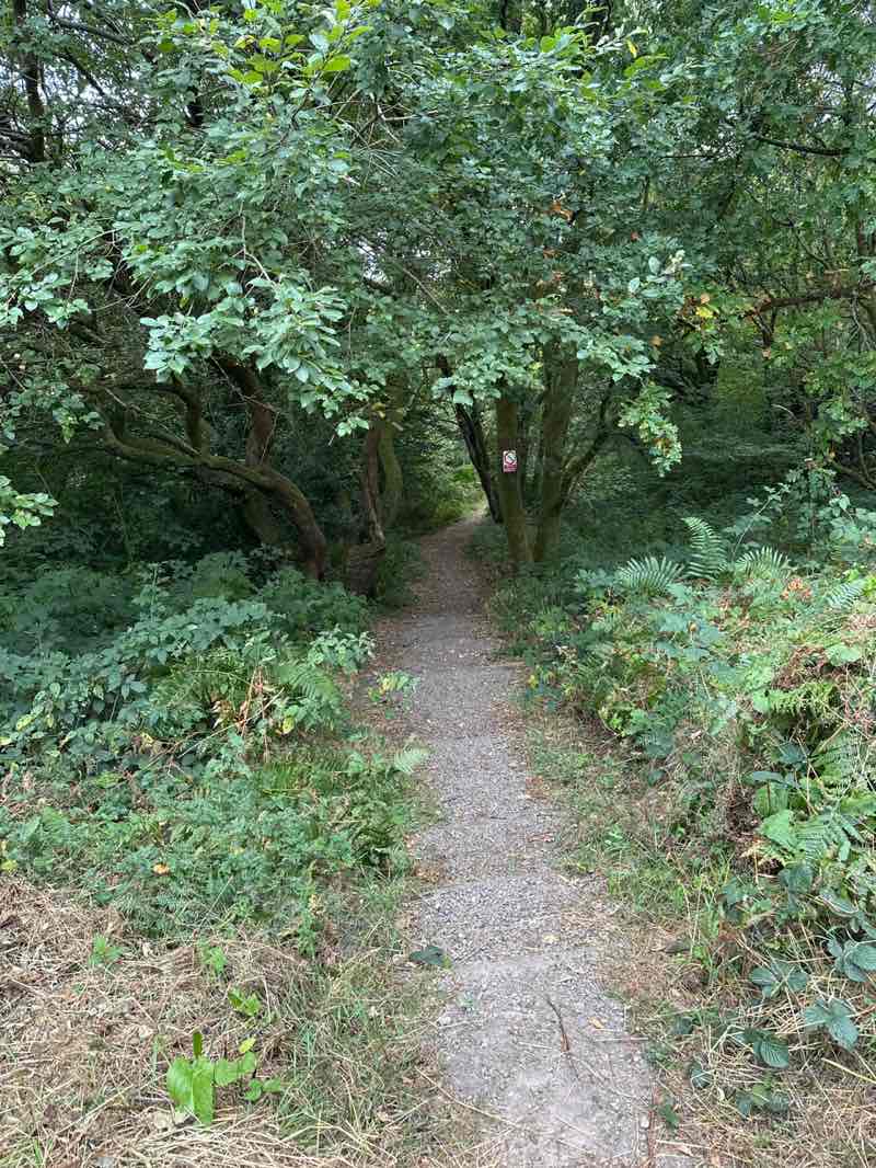 walking near me in Cefn Fforest Eco Park in autumn