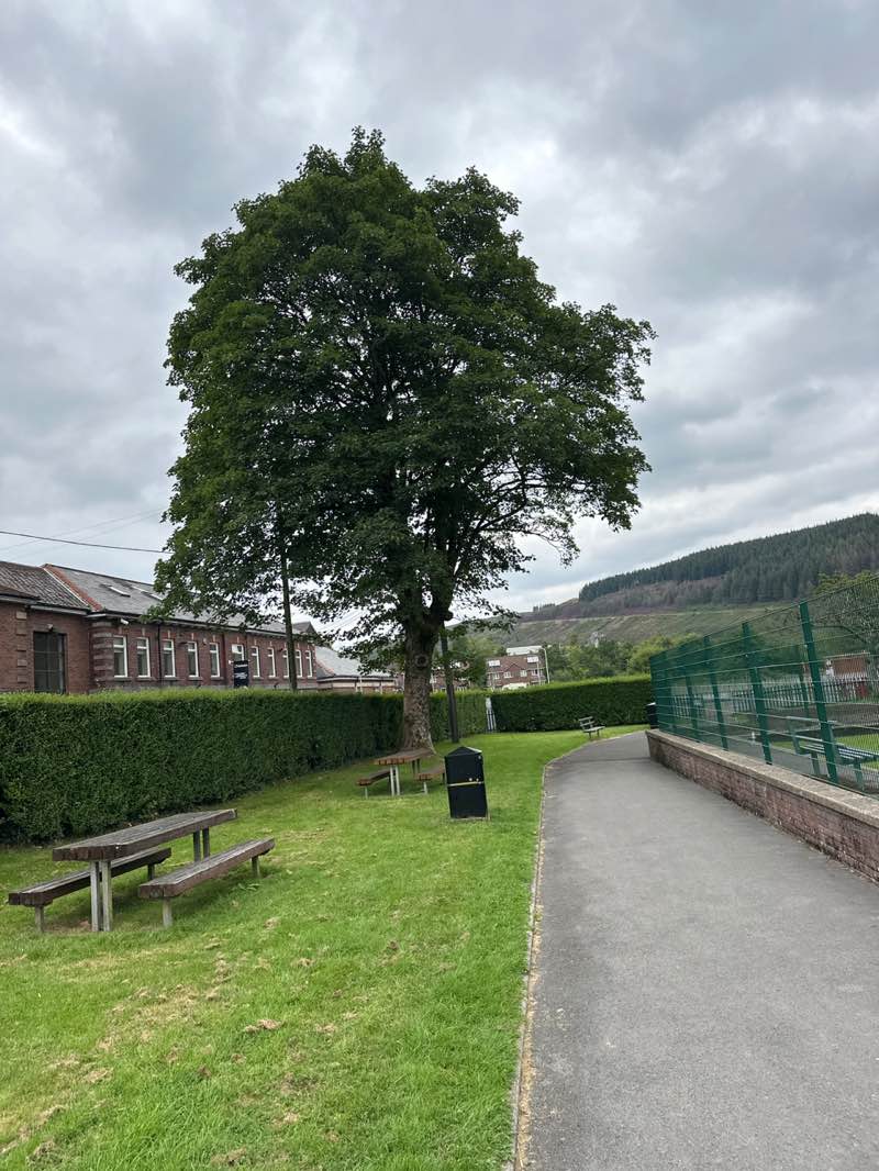 walking near me in Maerdy Park in autumn