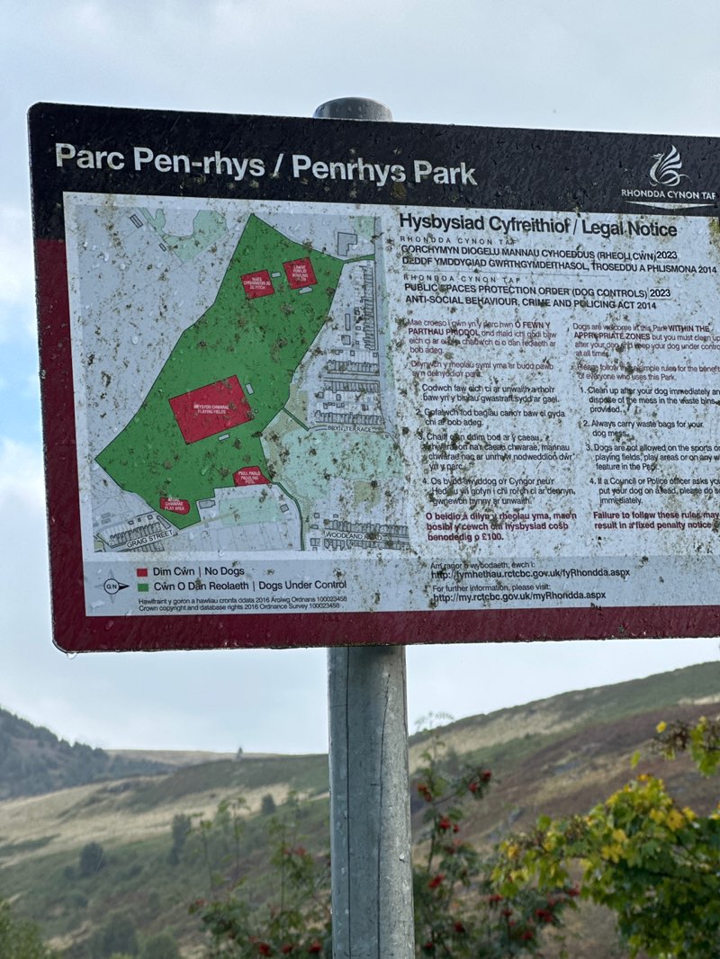 walking near me in Graig Steet Park in autumn