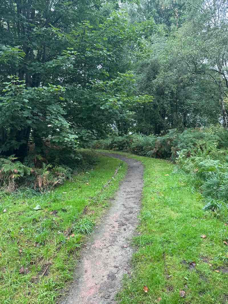 walking near me in The Common in autumn