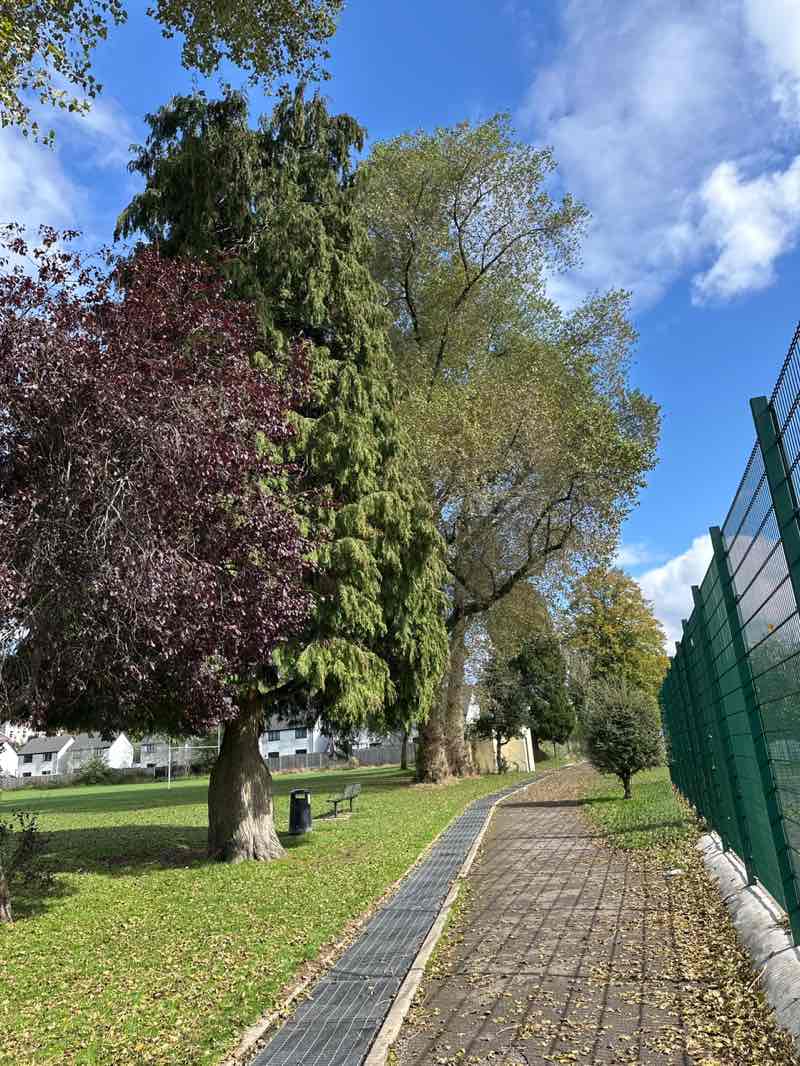 walking near me in Glynneath Welfare Park in autumn
