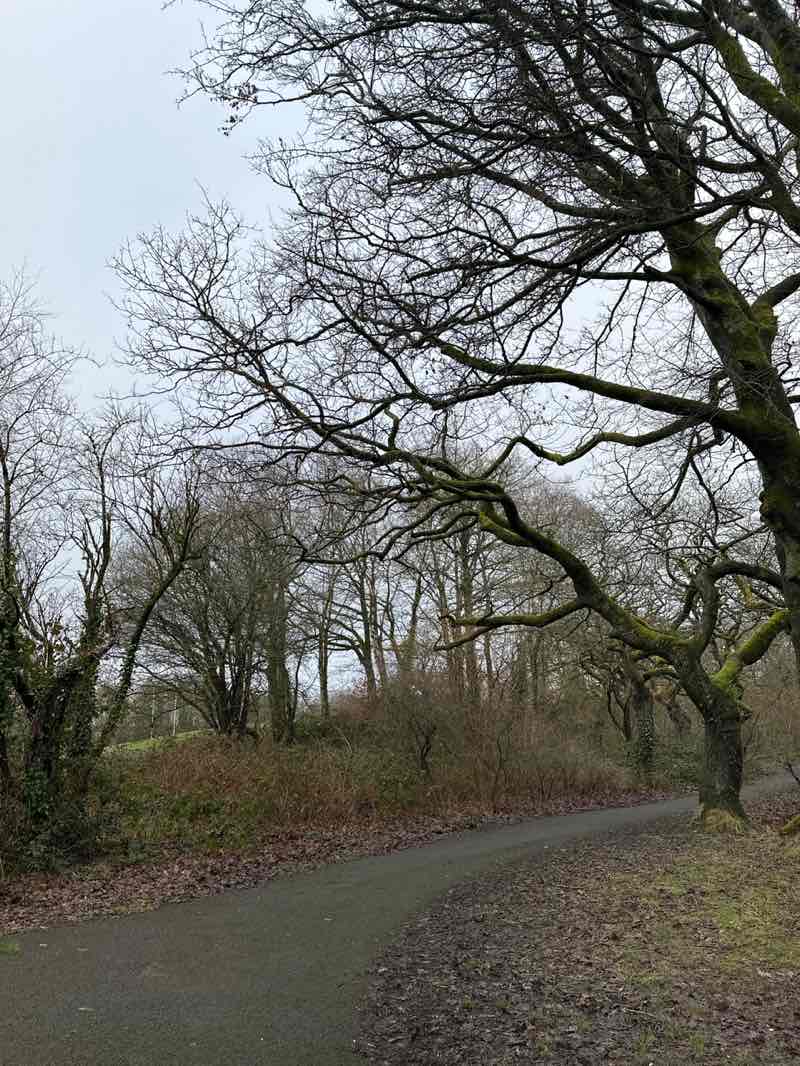 walking near me in Bargoed Park in winter