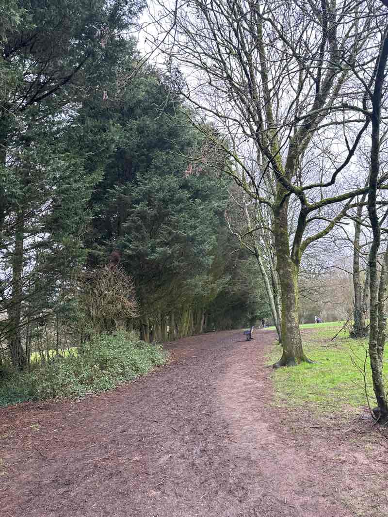 walking near me in Llanishen Park in winter