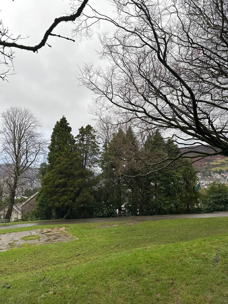 walking near me in Belle Vue Park in winter