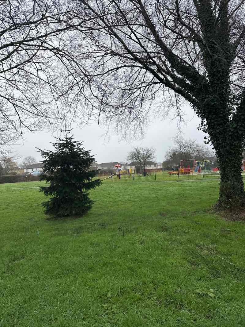 walking near me in Bedwas Park in winter