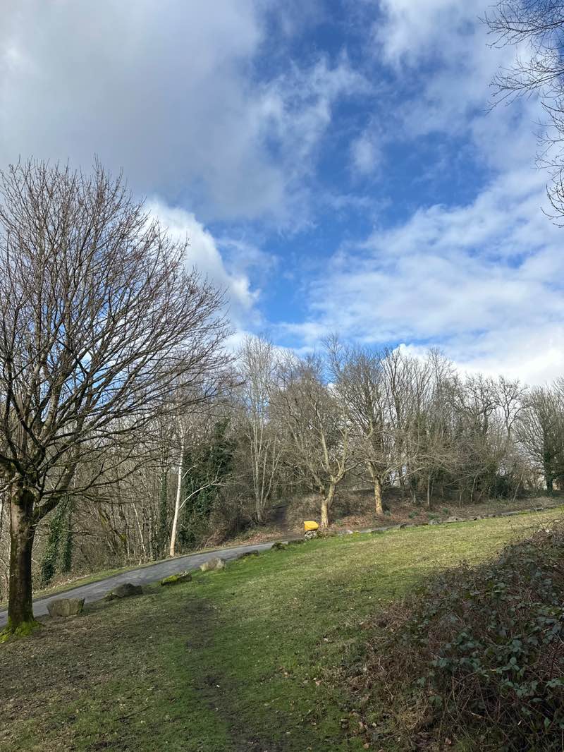 walking near me in Duffryn Park in winter