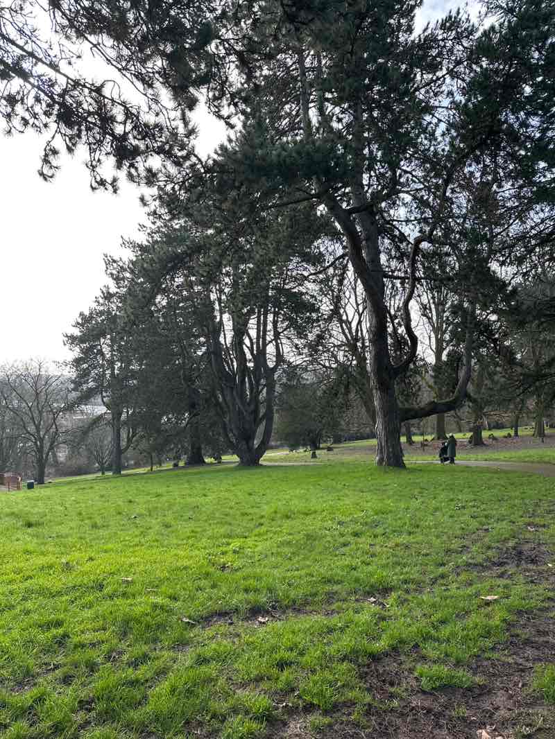 walking near me in Belle Vue Park in winter