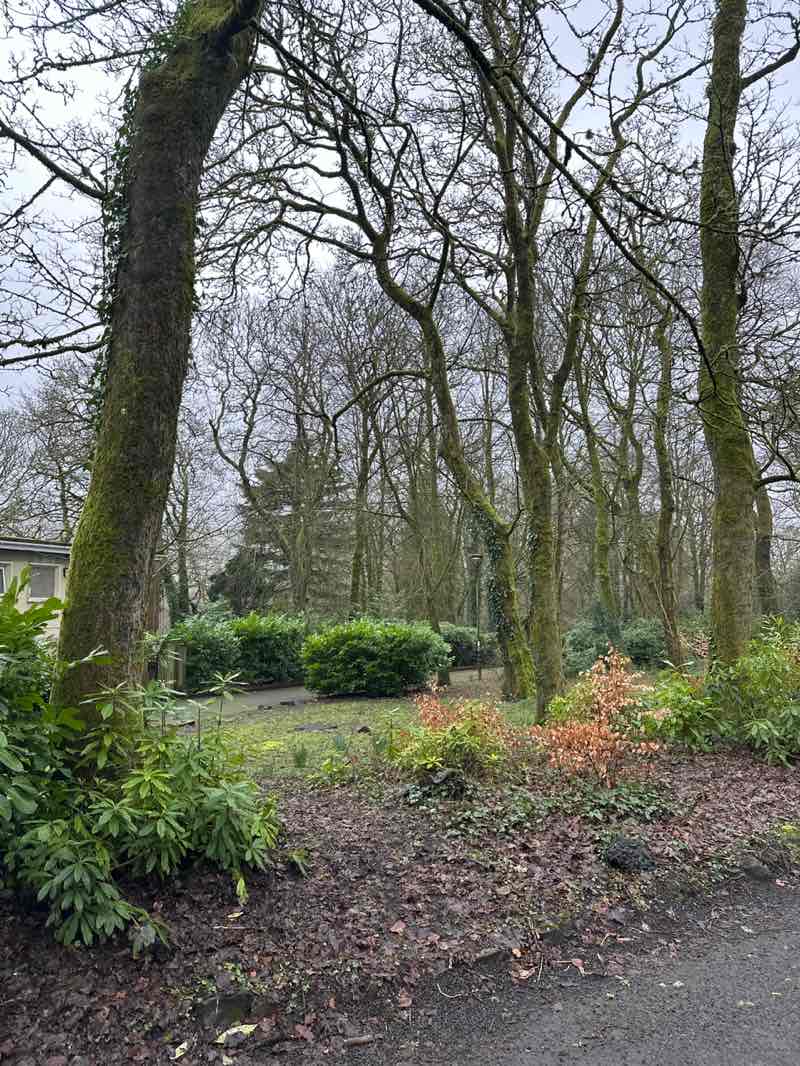 walking near me in Bedwellty Park in winter