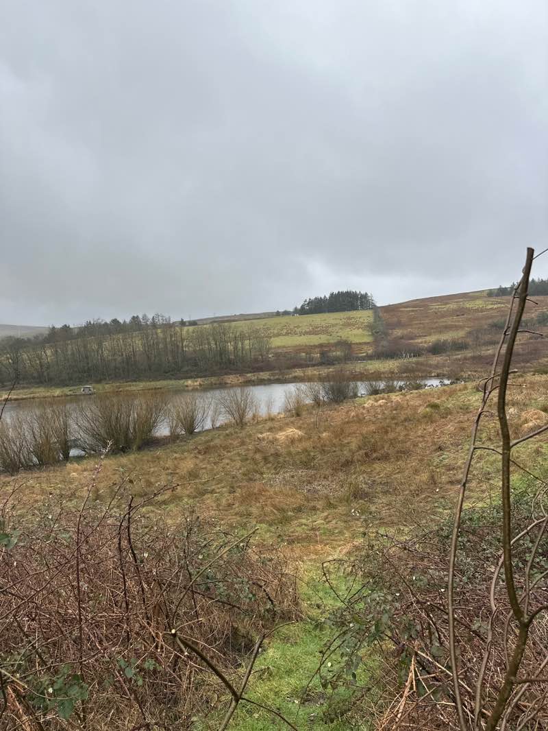 walking near me in Parc Nant y Waun in winter