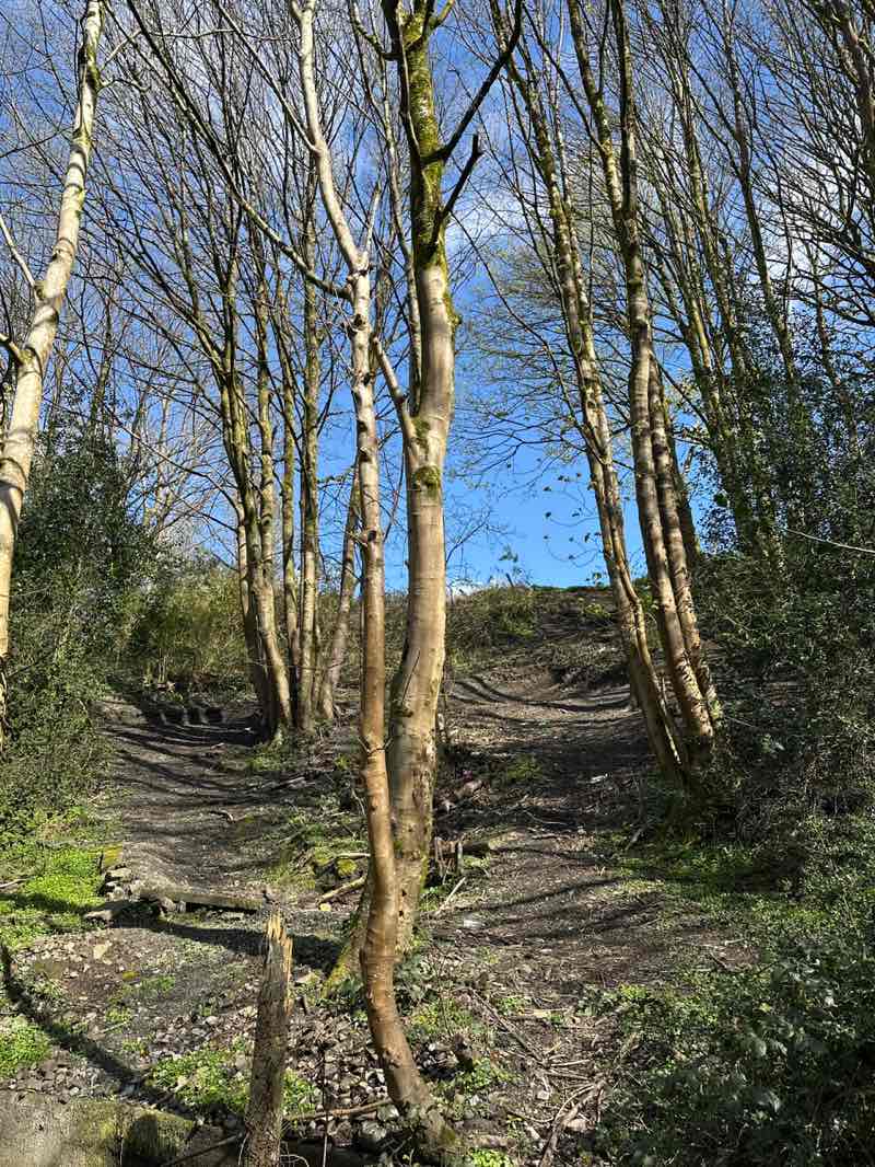 walking near me in Sixbells Park in spring