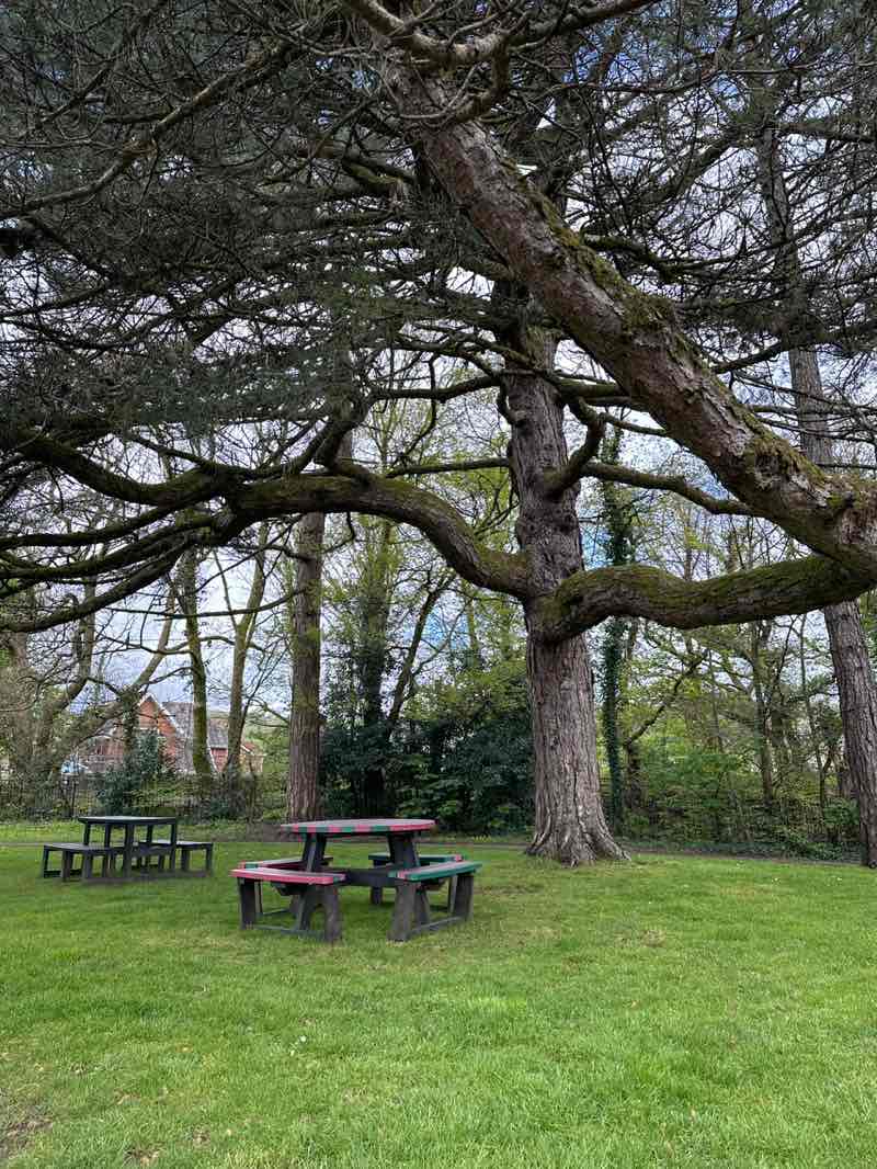 walking near me in Coed Gwilym Park in spring