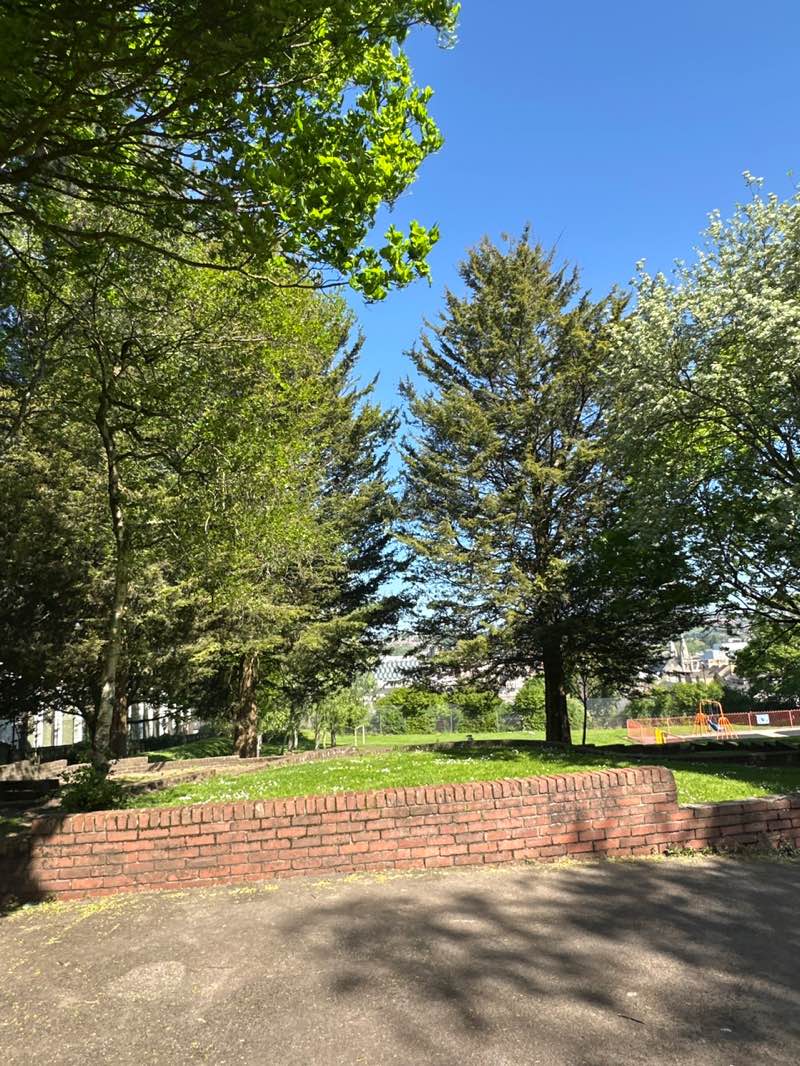 walking near me in Clifton Park in spring