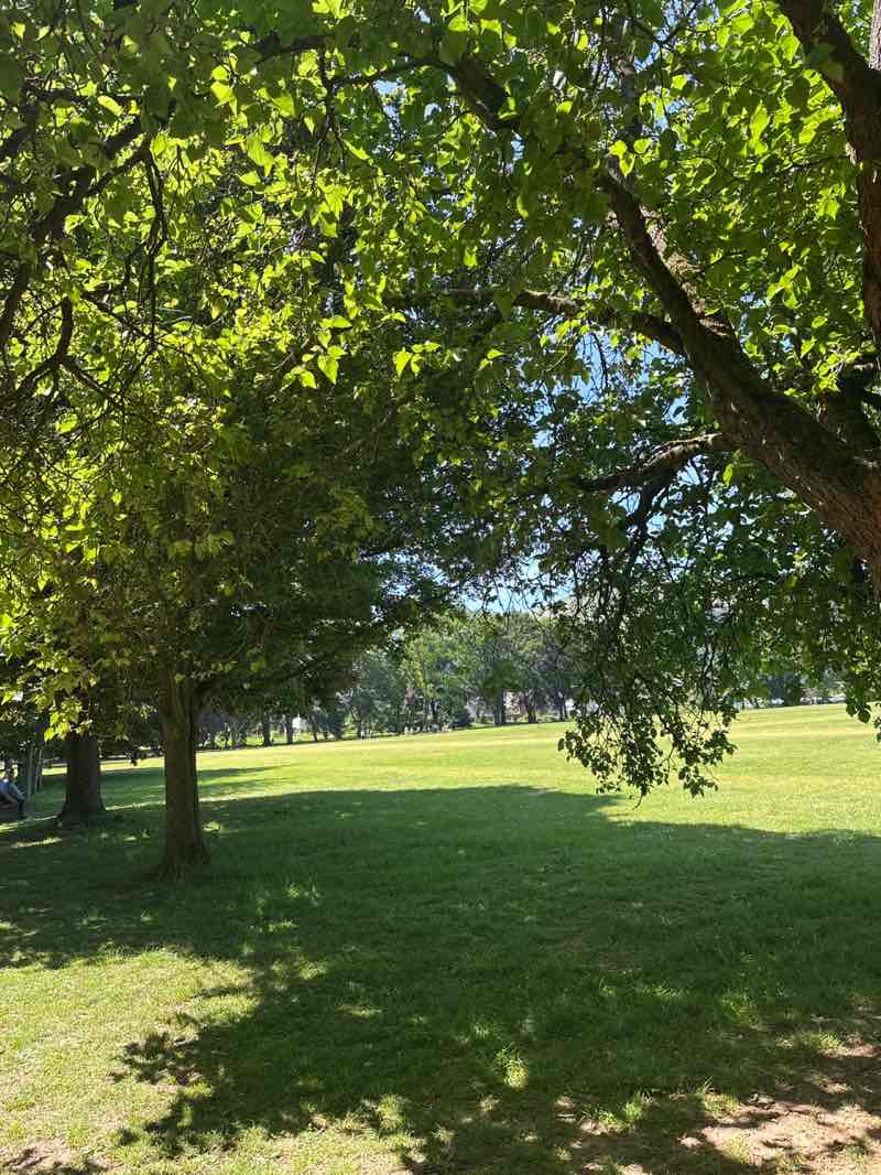 walking near me in Bailey Park in summer