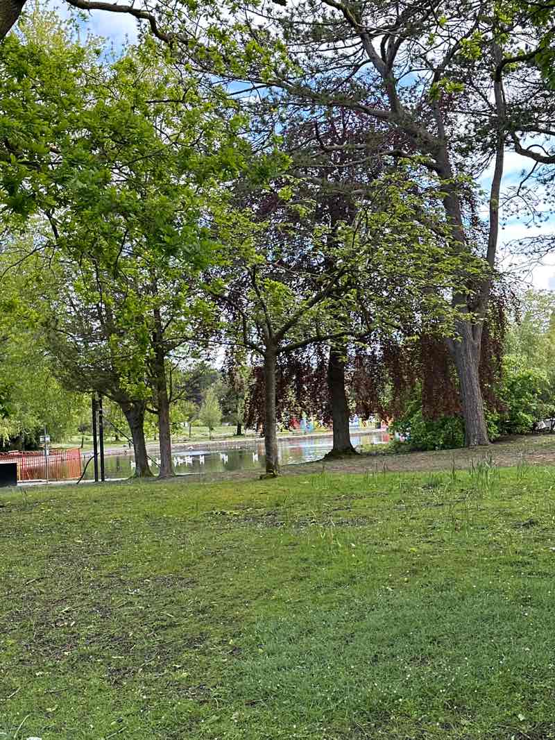 walking near me in Aberdare Park in spring