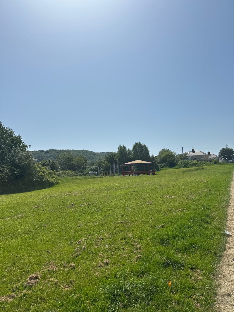 walking near me in James Field in summer