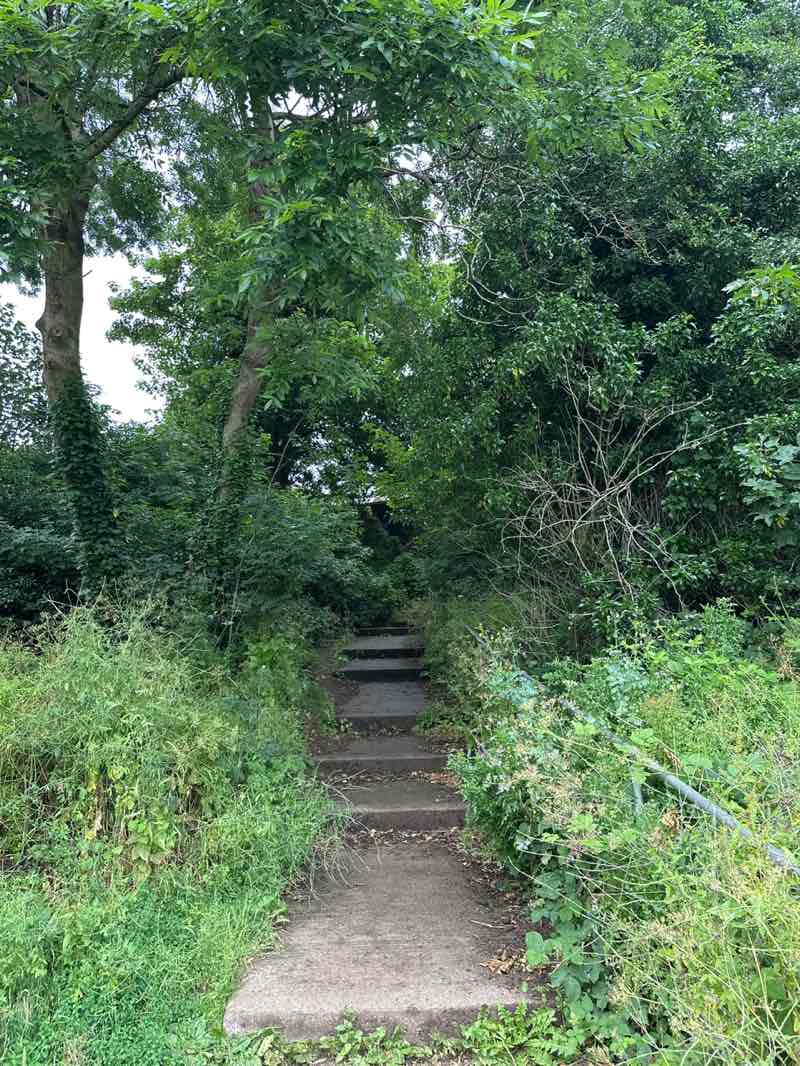 walking near me in The Quarry in summer