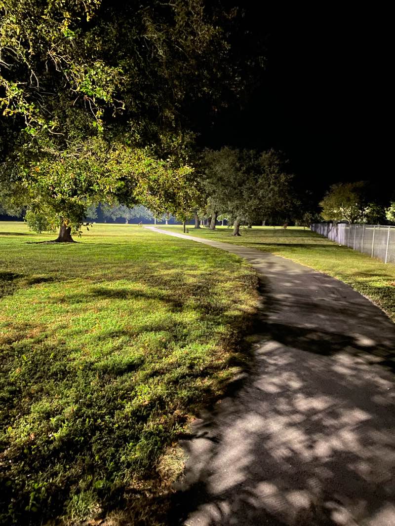 walking near me in Coffin Park in winter