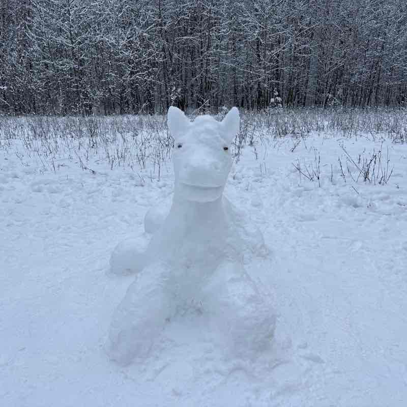 Спартак - Чемпион! Vladimir post image