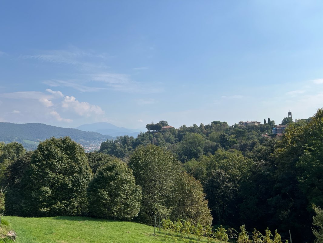 walking near me in Bosco Soroptimist in autumn
