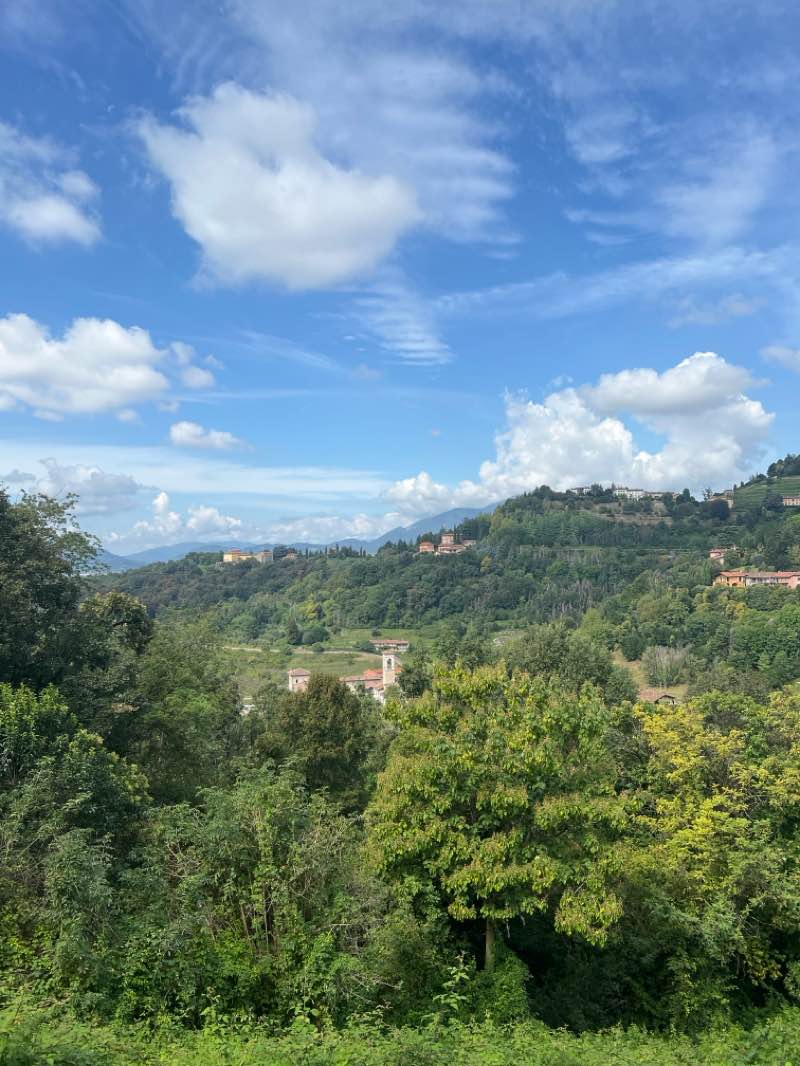 walking near me in Parco Lochis in autumn