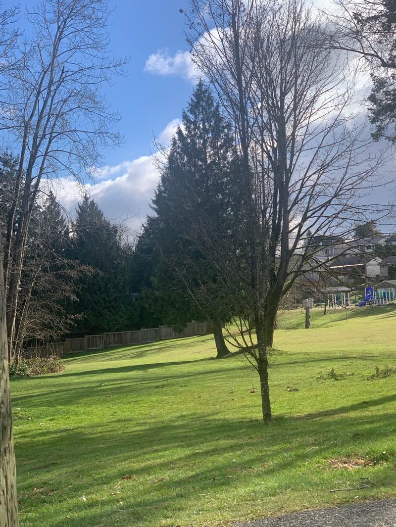 walking near me in Avondale Park in spring