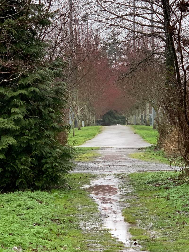 walking near me in King George Park in spring