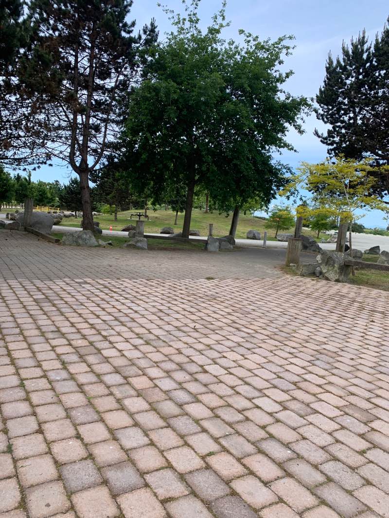 walking near me in Wellington Point Park in summer