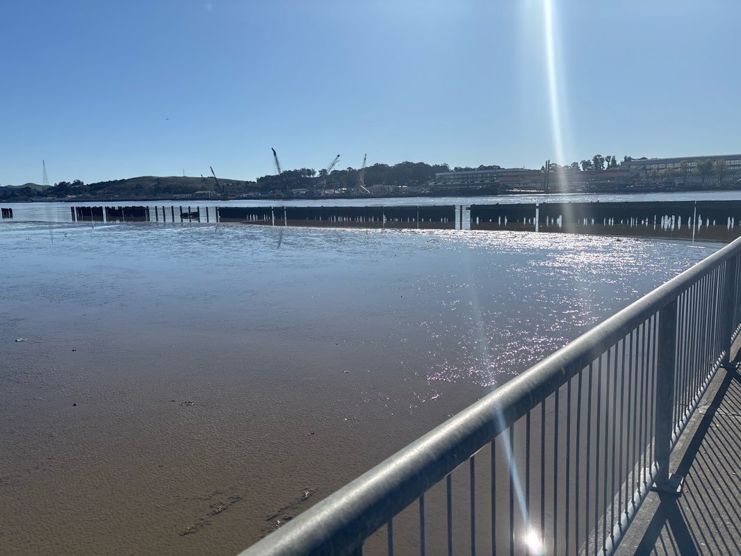 walking near me in Independence Park in winter