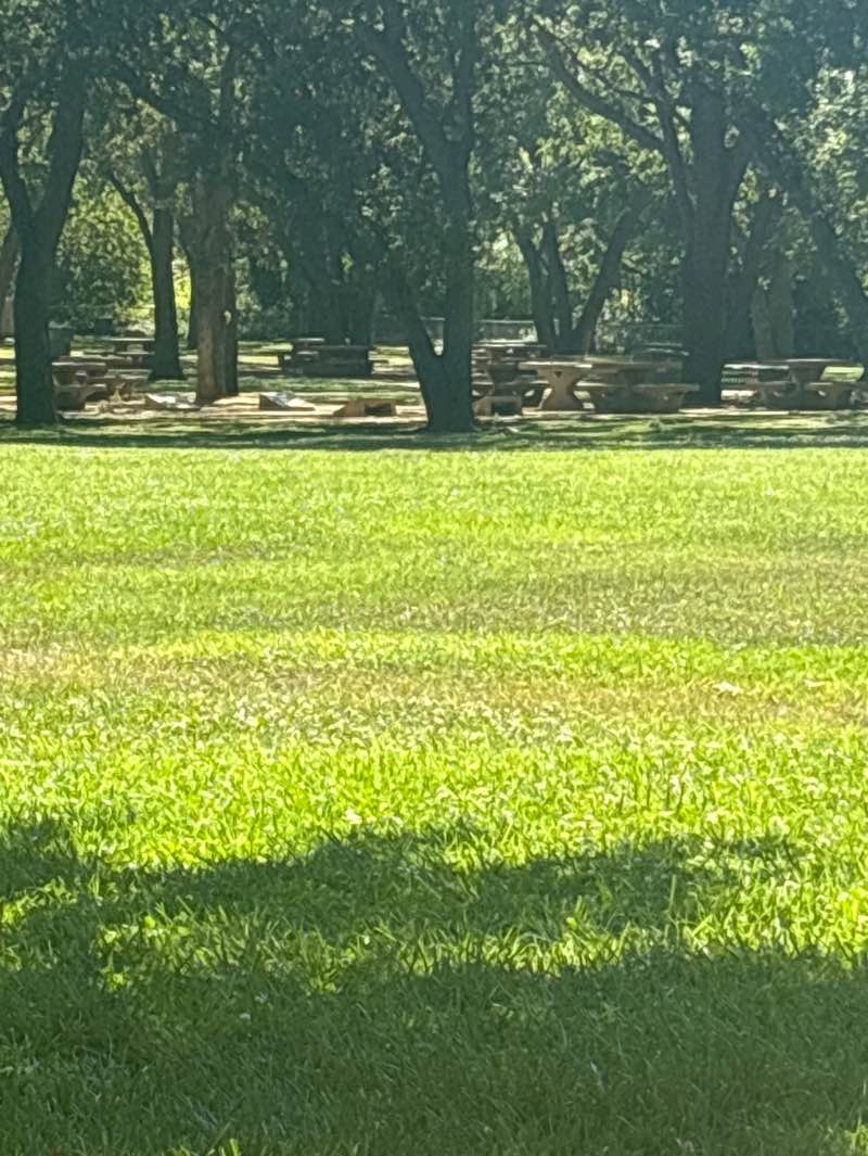 walking near me in Alamo Creek Park in summer