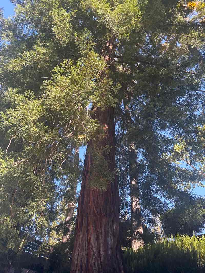 walking near me in Andrews Park in summer