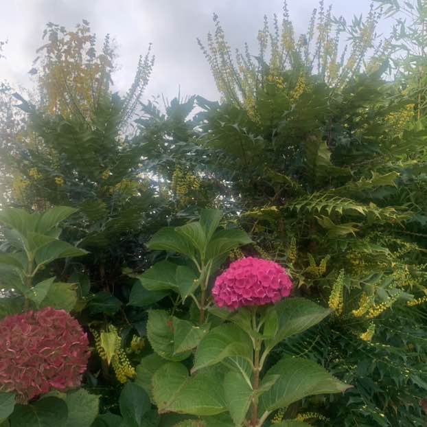 Marie la Normande post 3