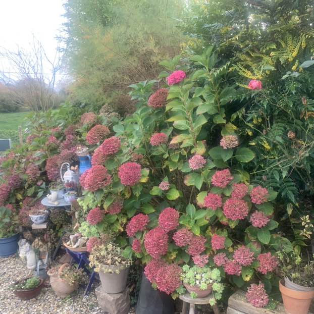 Marie la Normande post 2