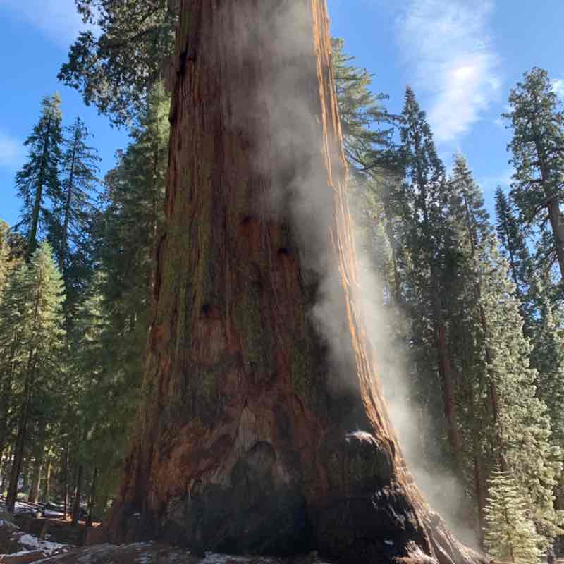 Marie la Normande post 3