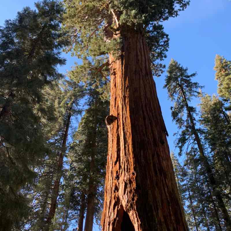 Marie la Normande post 1