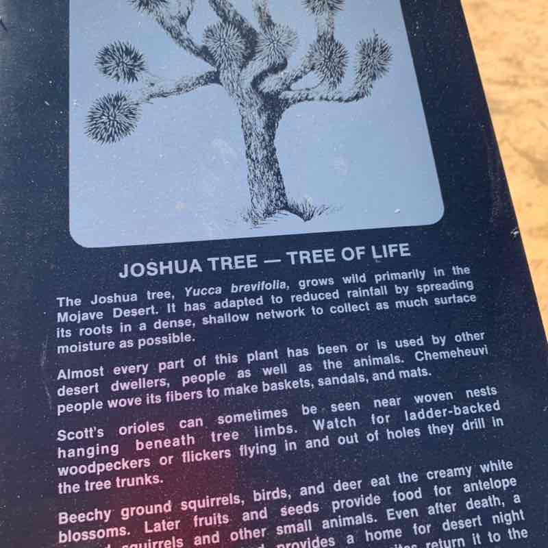 Marie la Normande post 1