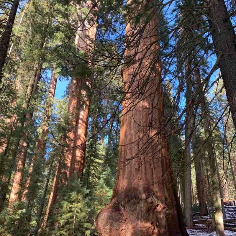 Marie la Normande post 2