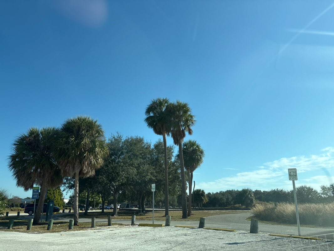 walking near me in Cypress Point Park in autumn