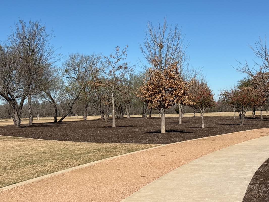 walking near me in Onion Creek Metropolitan Park in winter